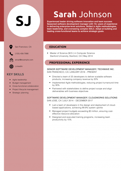 Senior Software Development Manager