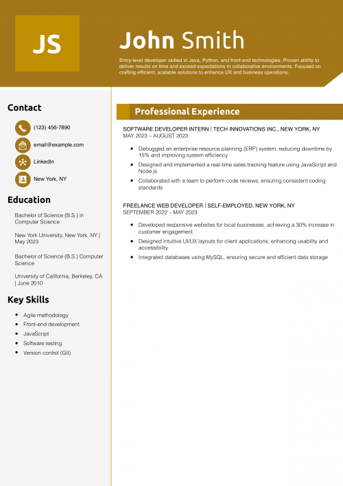 Junior Software Developer