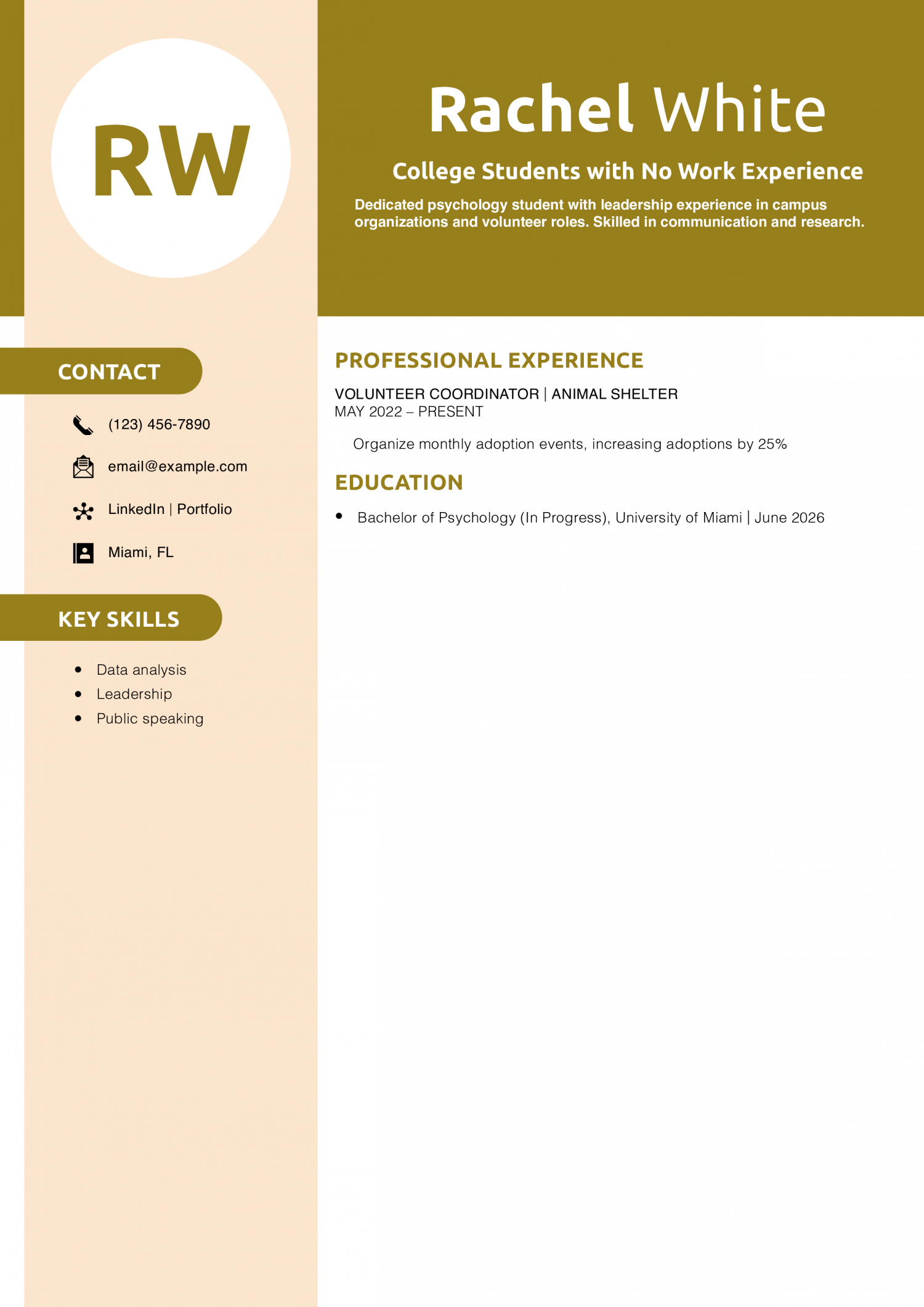 College Students with No Work Experience Resume Example