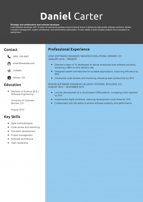 Lead software developer