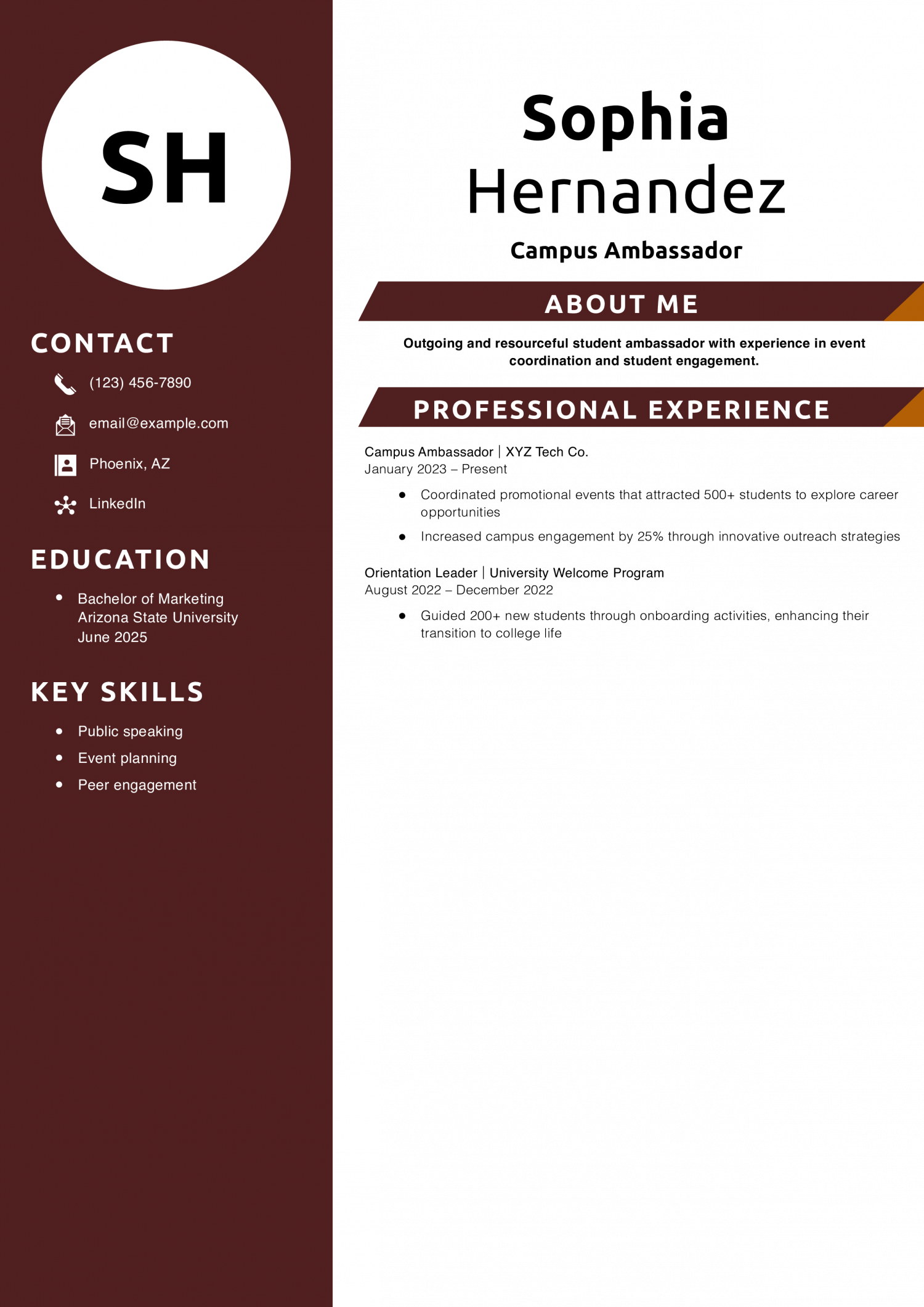 Campus Ambassador Resume Example