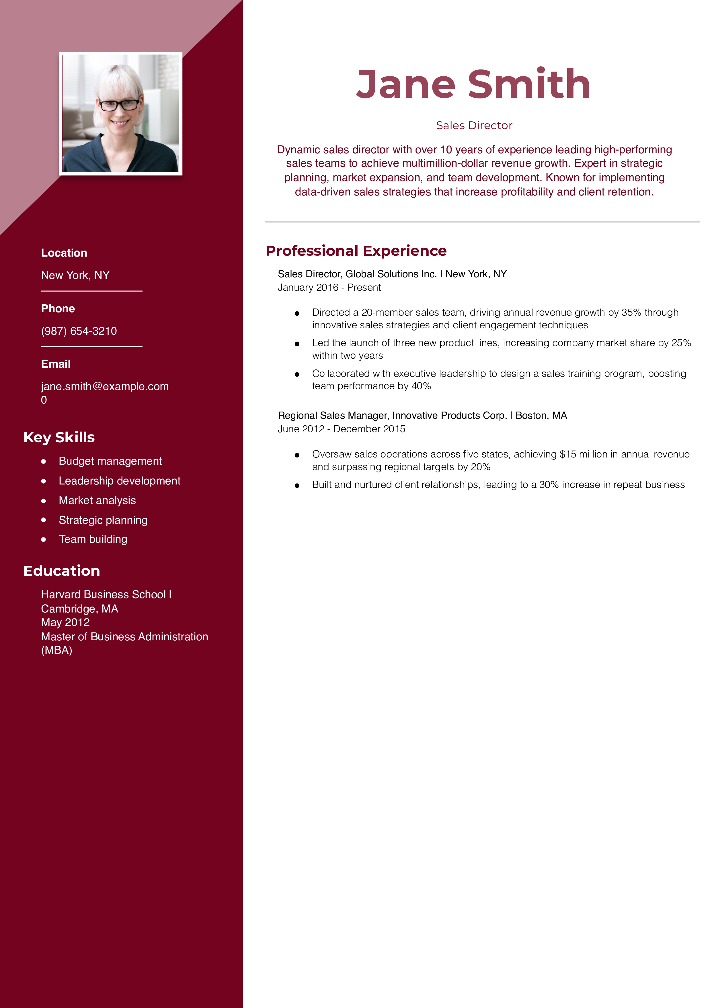 Sales Director Resume Example