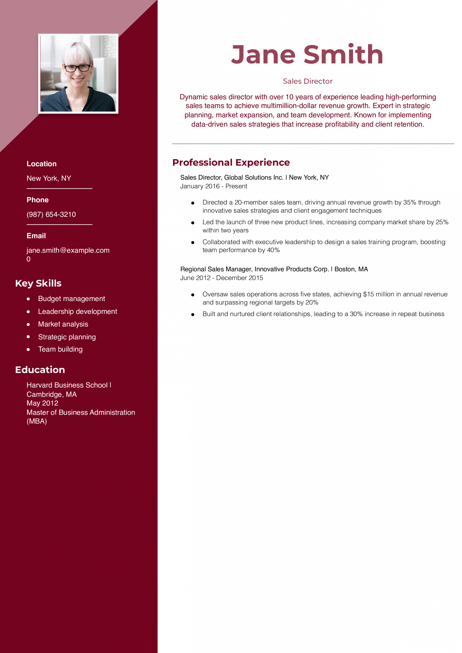 Sales Director Resume Example