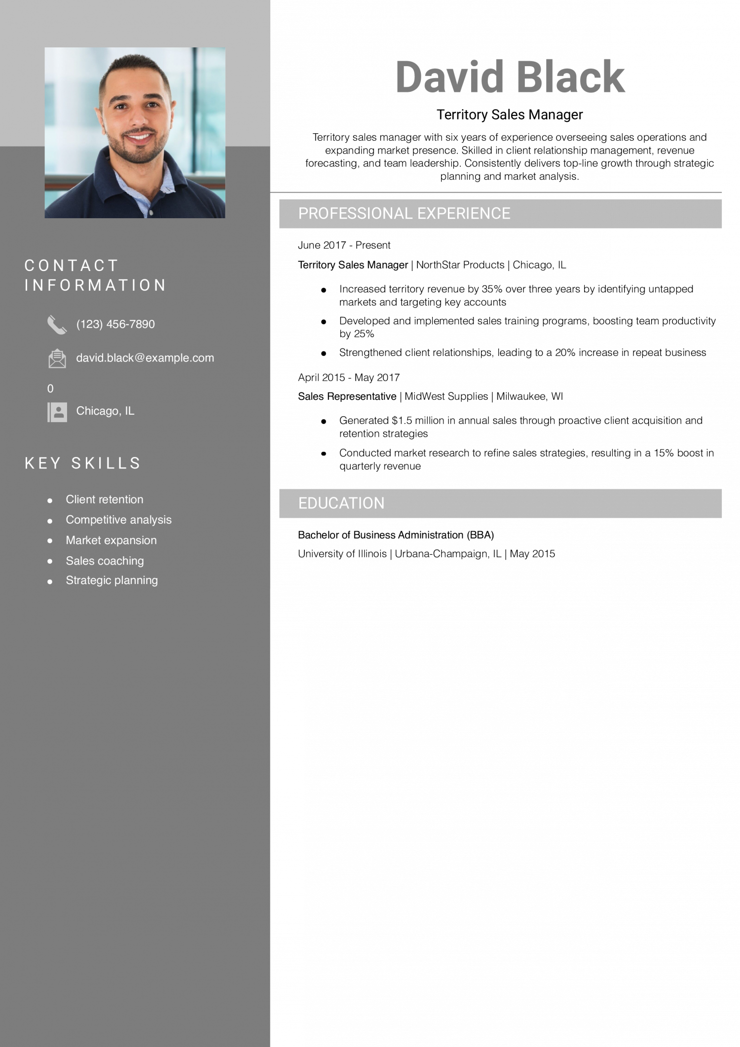 Territory Sales Manager Resume Example