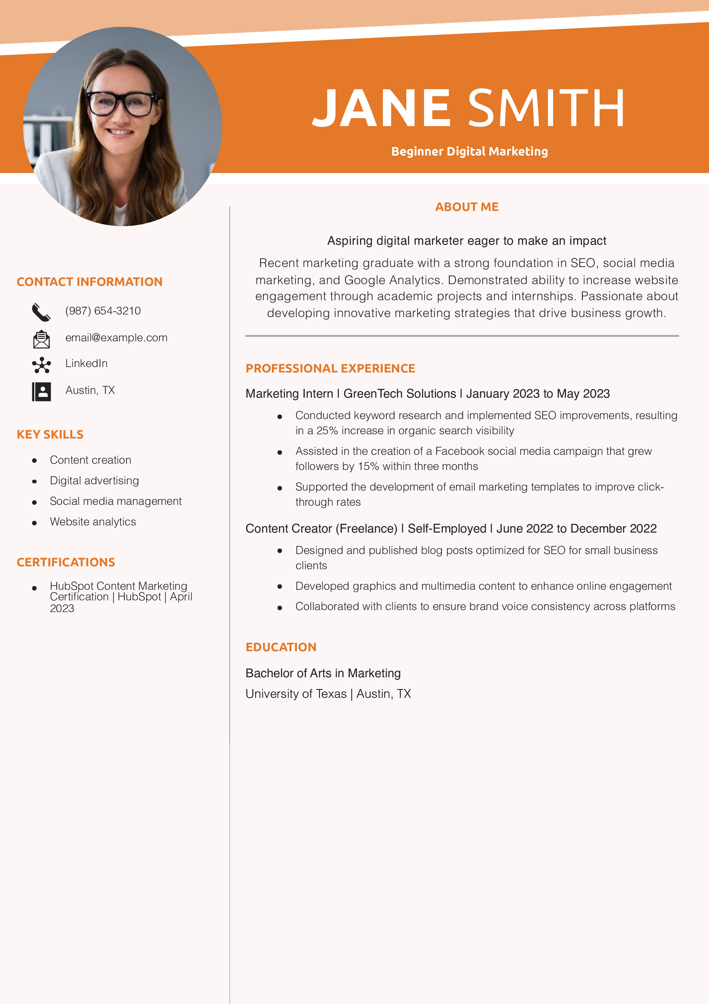 Beginner Digital Marketing Resume