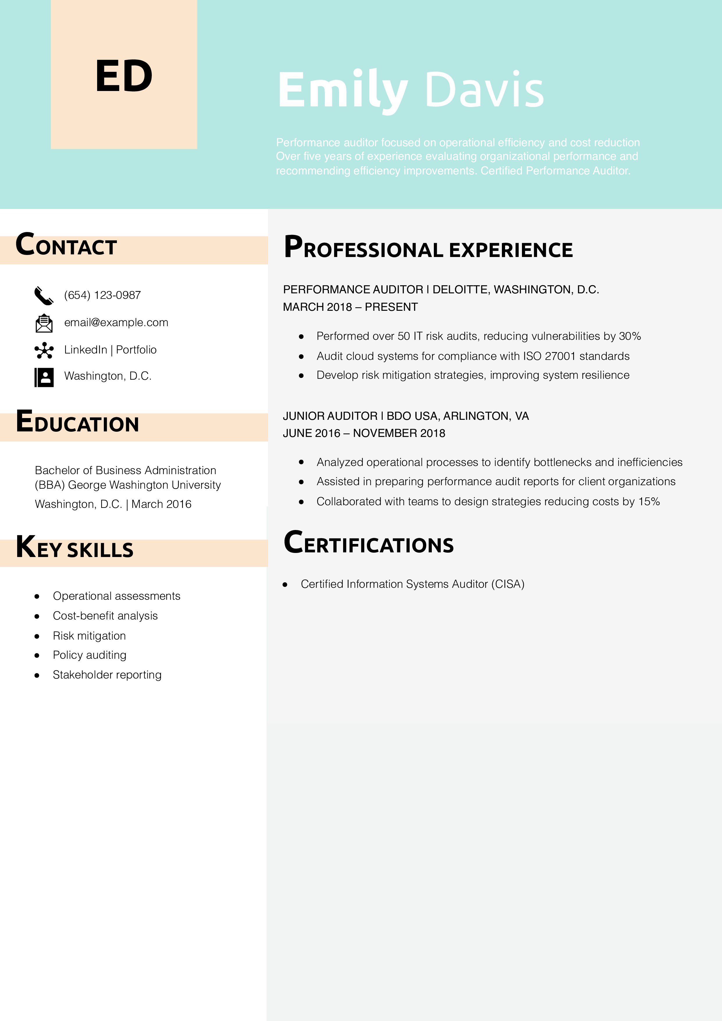 Performance Auditor Resume Example