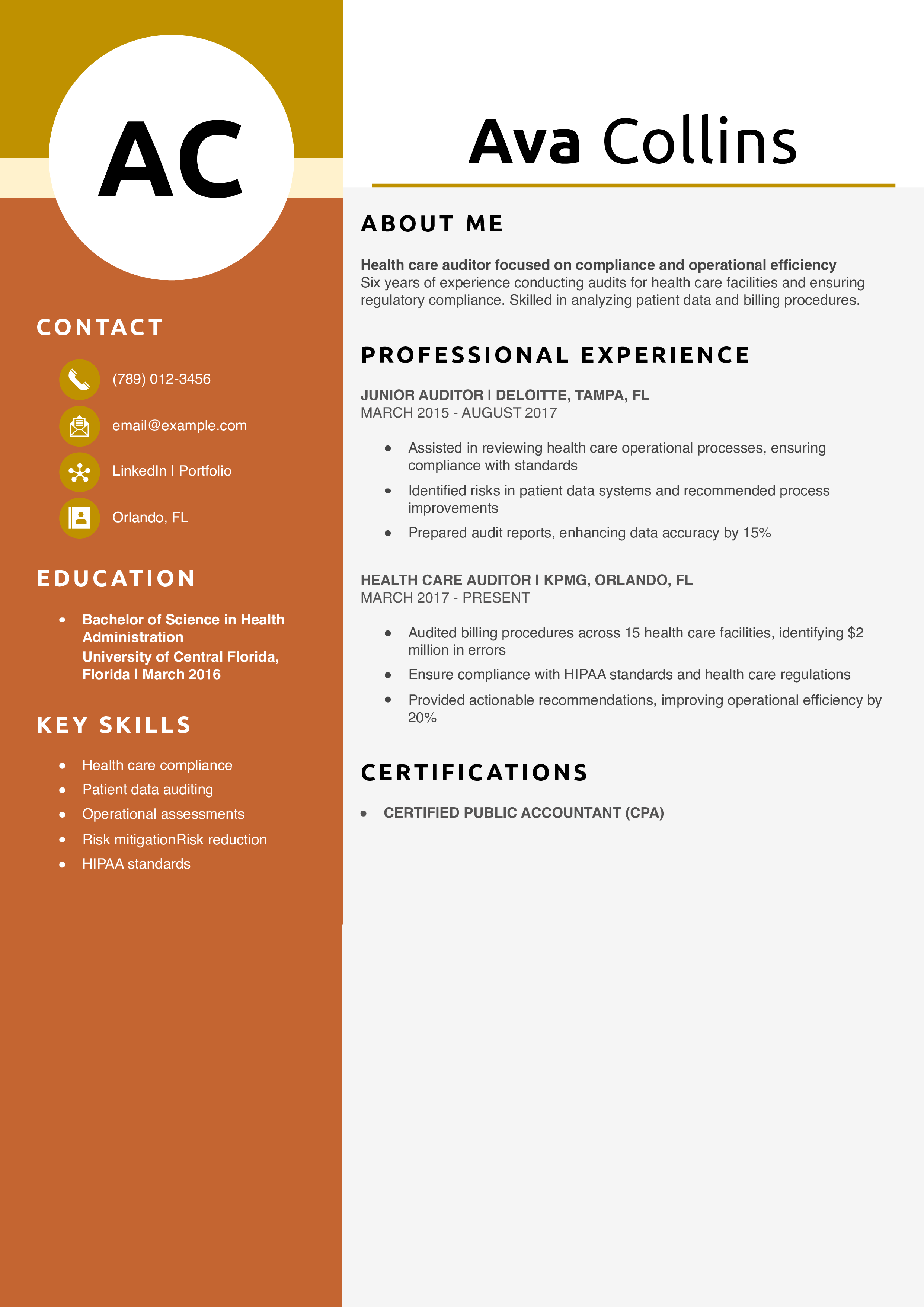 Health Care Auditor Resume Example