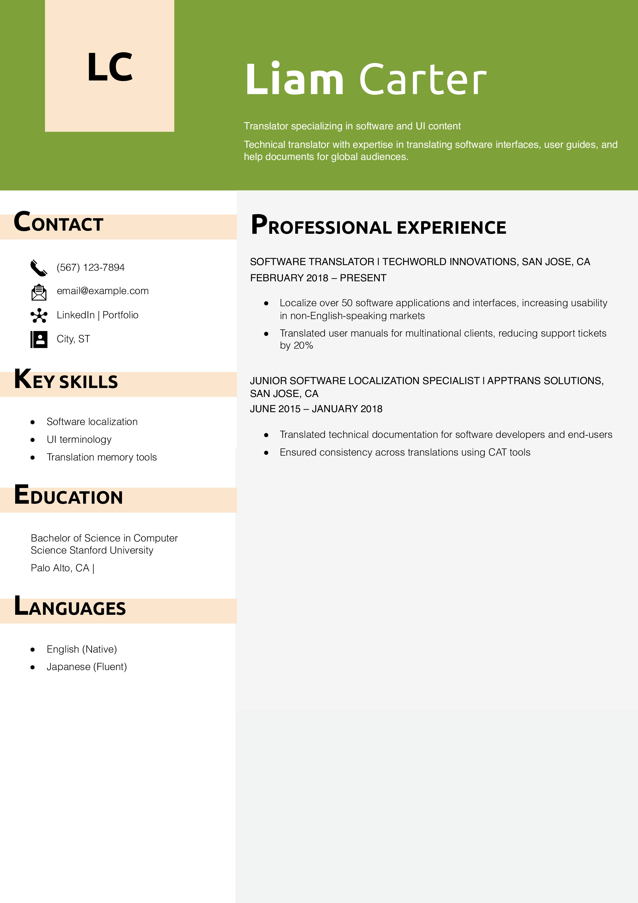 Software Translator Resume Example