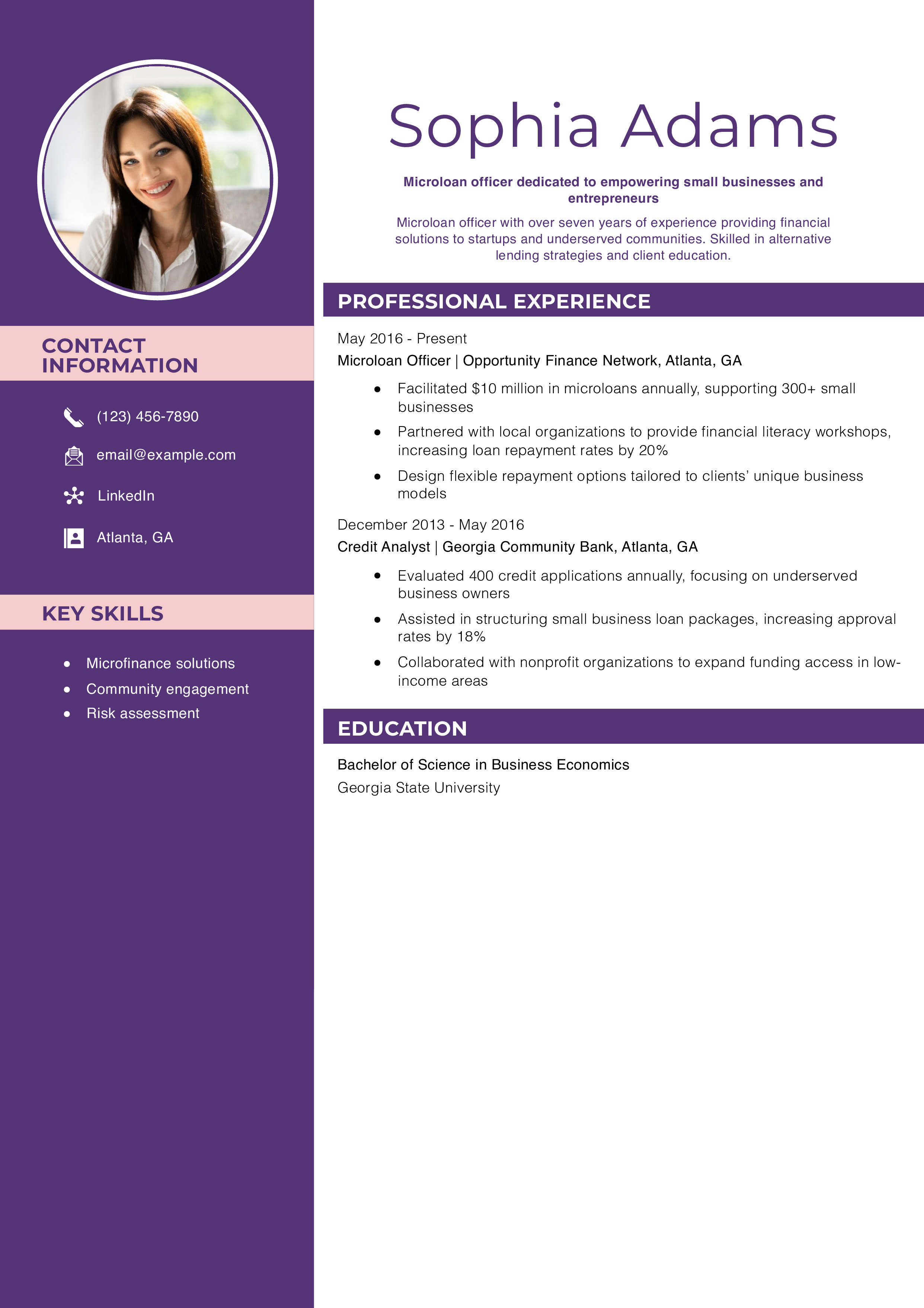 Microloan Officer Resume Example