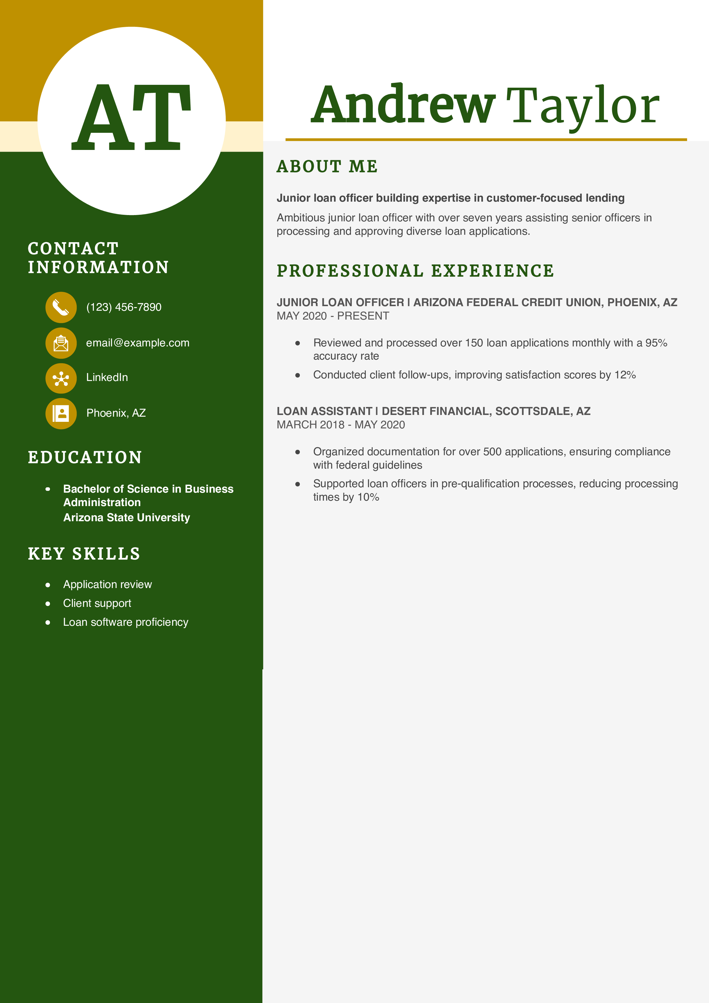 Junior Loan Officer Resume Example