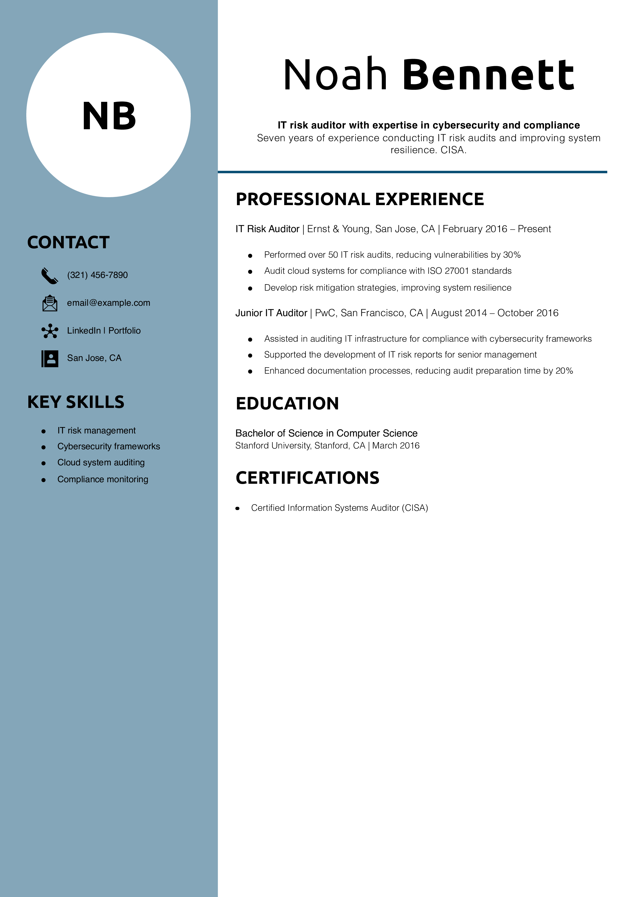 IT Risk Auditor Resume Example