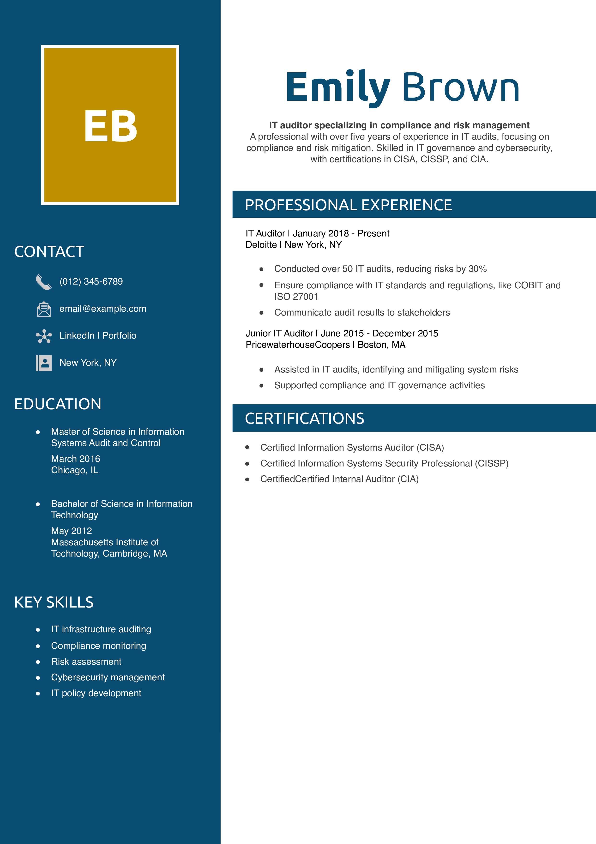 IT Auditor Resume Example