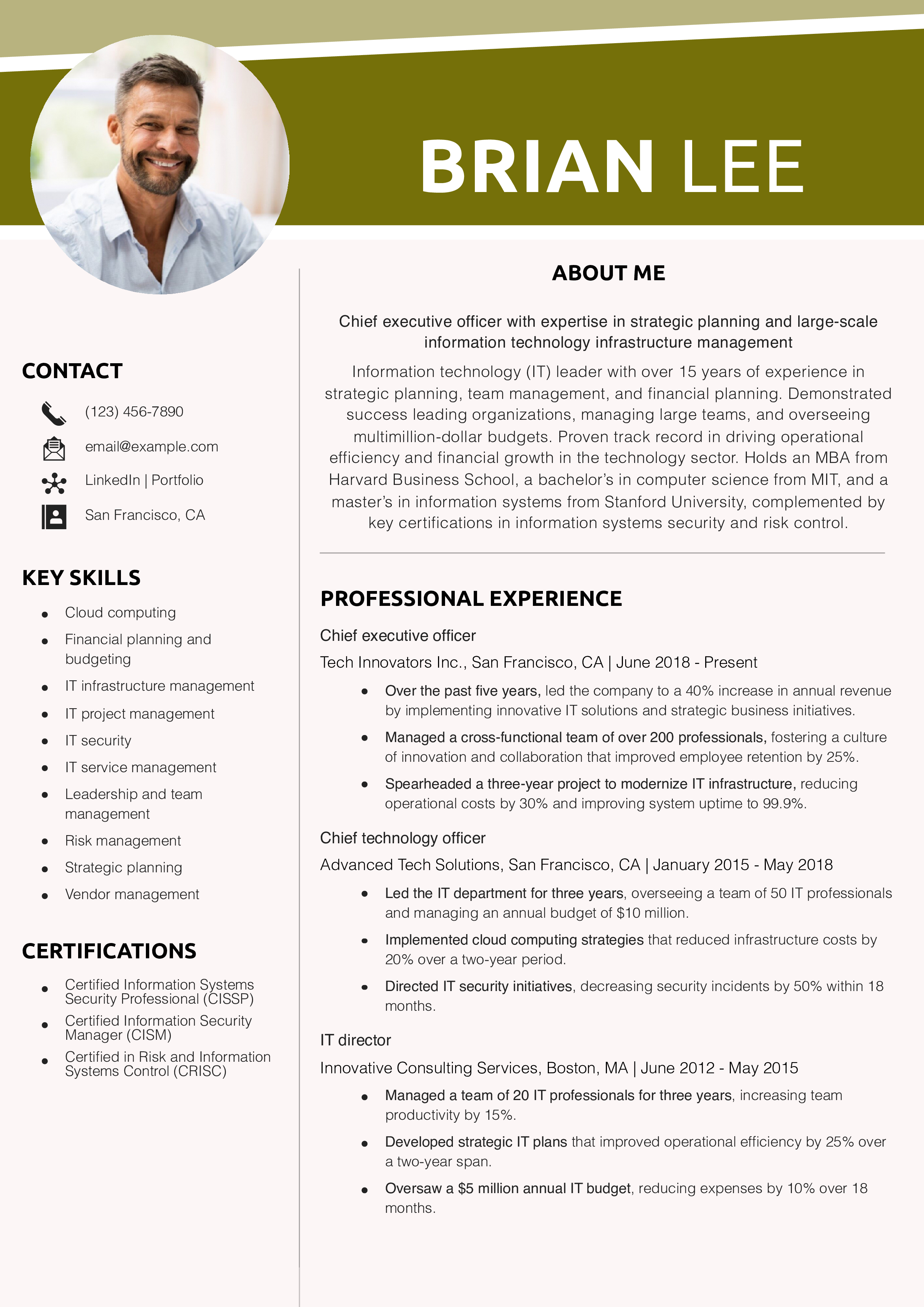 Information Technology Chief Executive Officer Resume Example