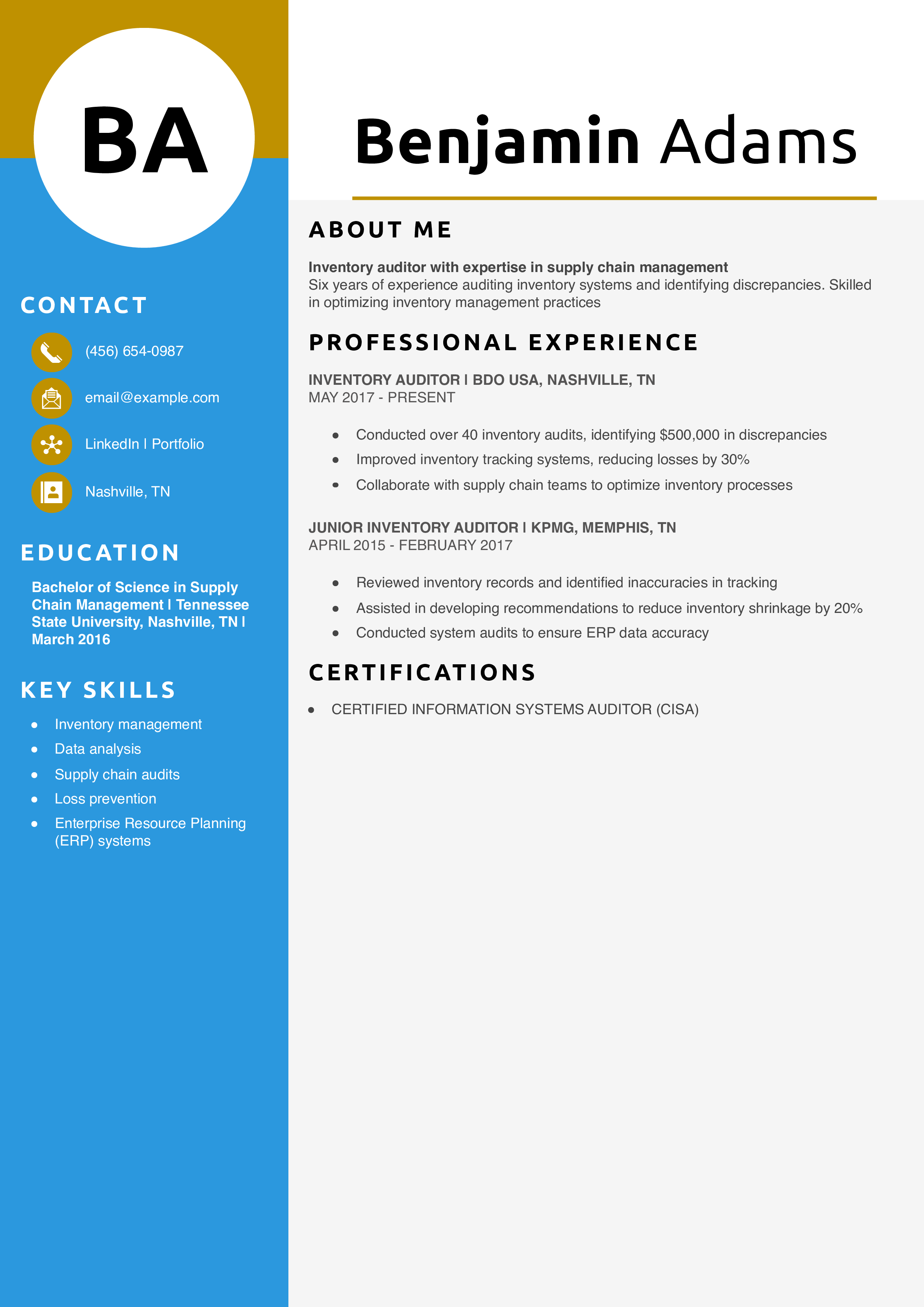 Inventory Auditor Resume Example