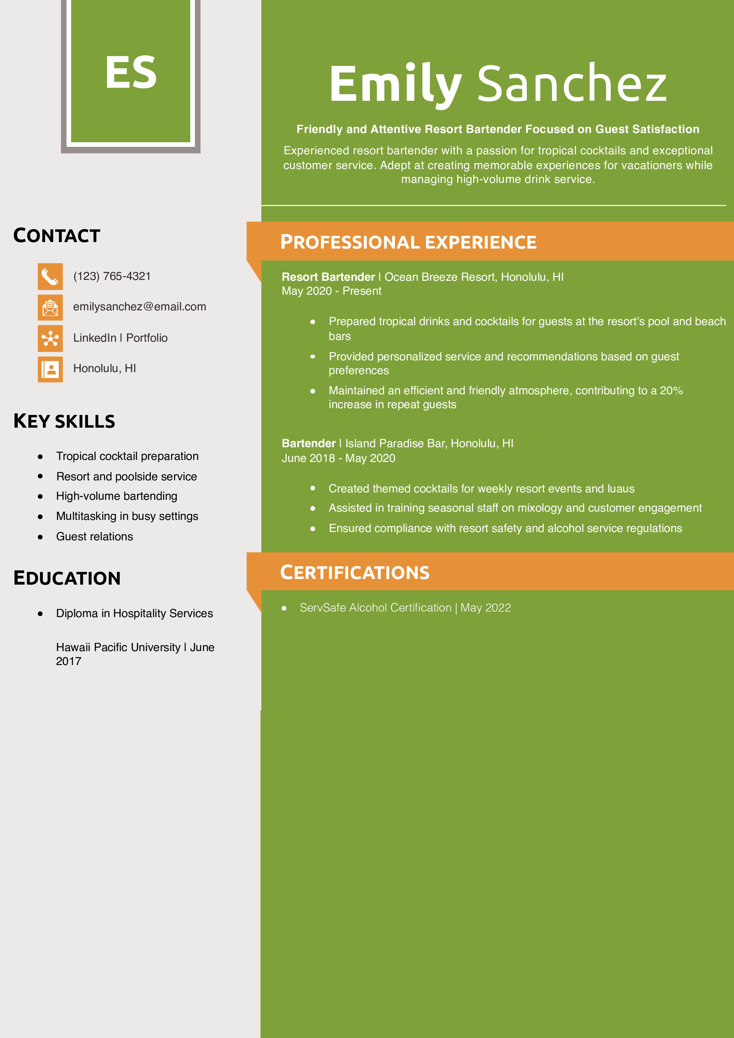 Resort Bartender Resume Example