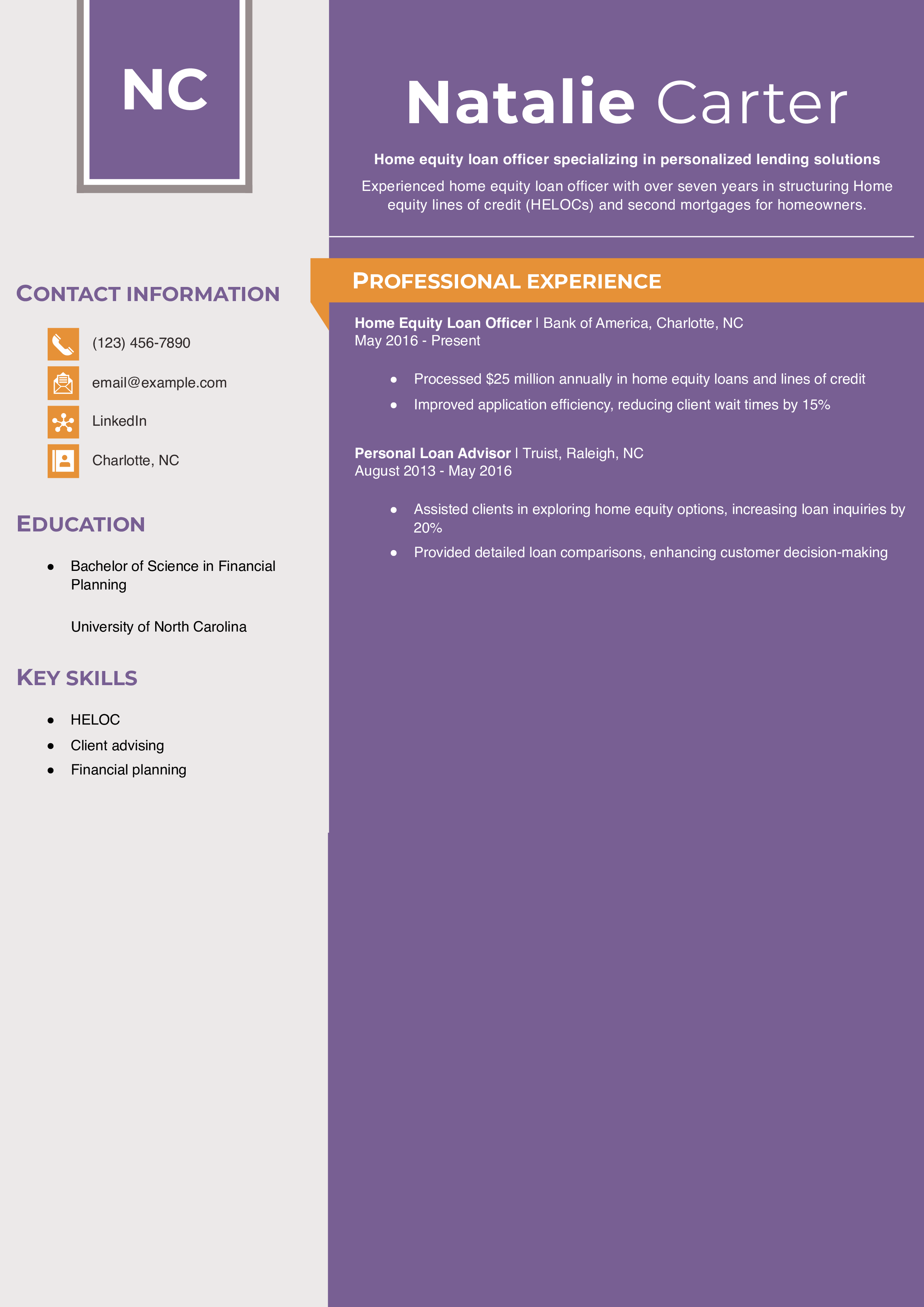 Home Equity Loan Officer Resume Example