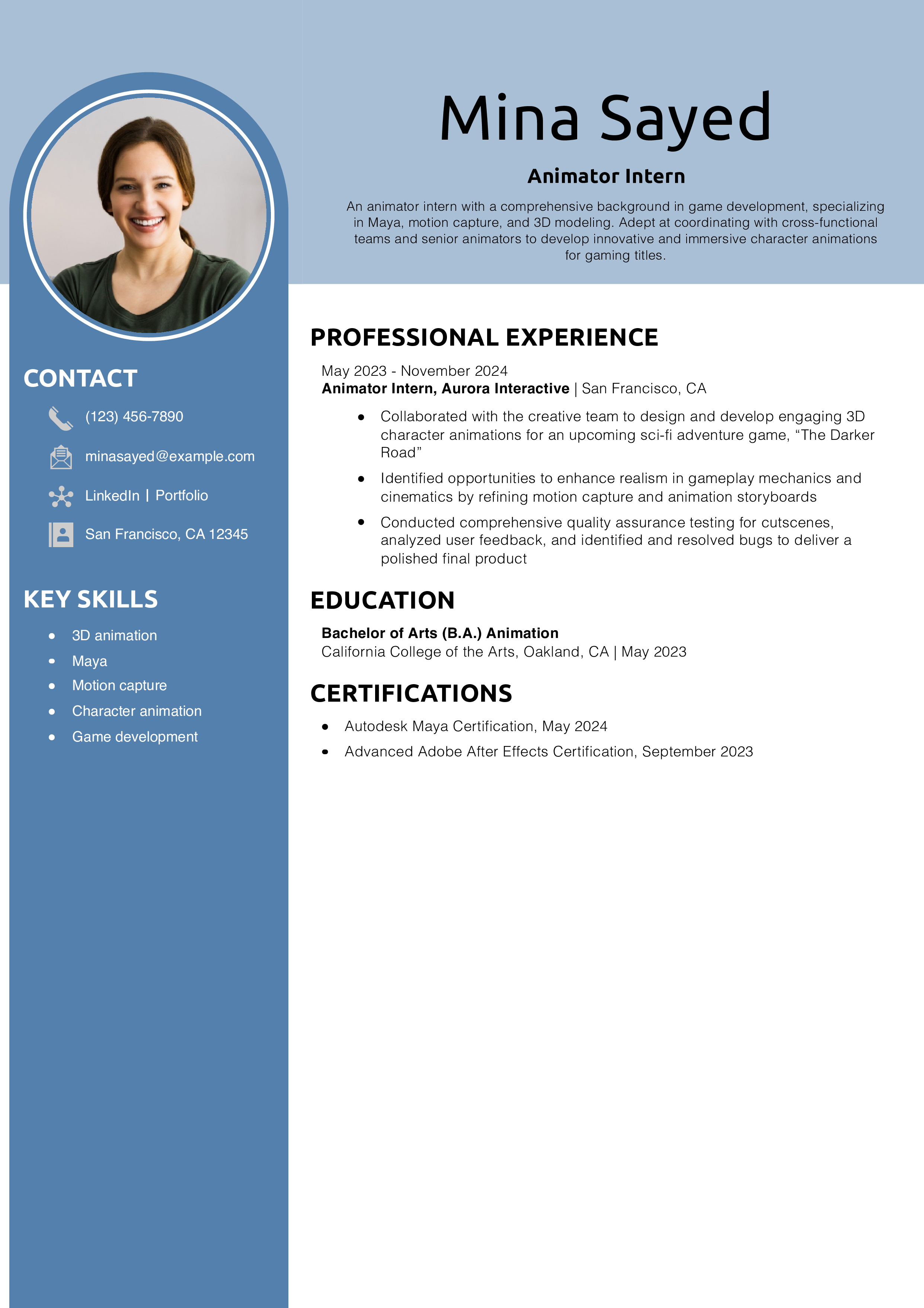 Animator Intern Resume Example