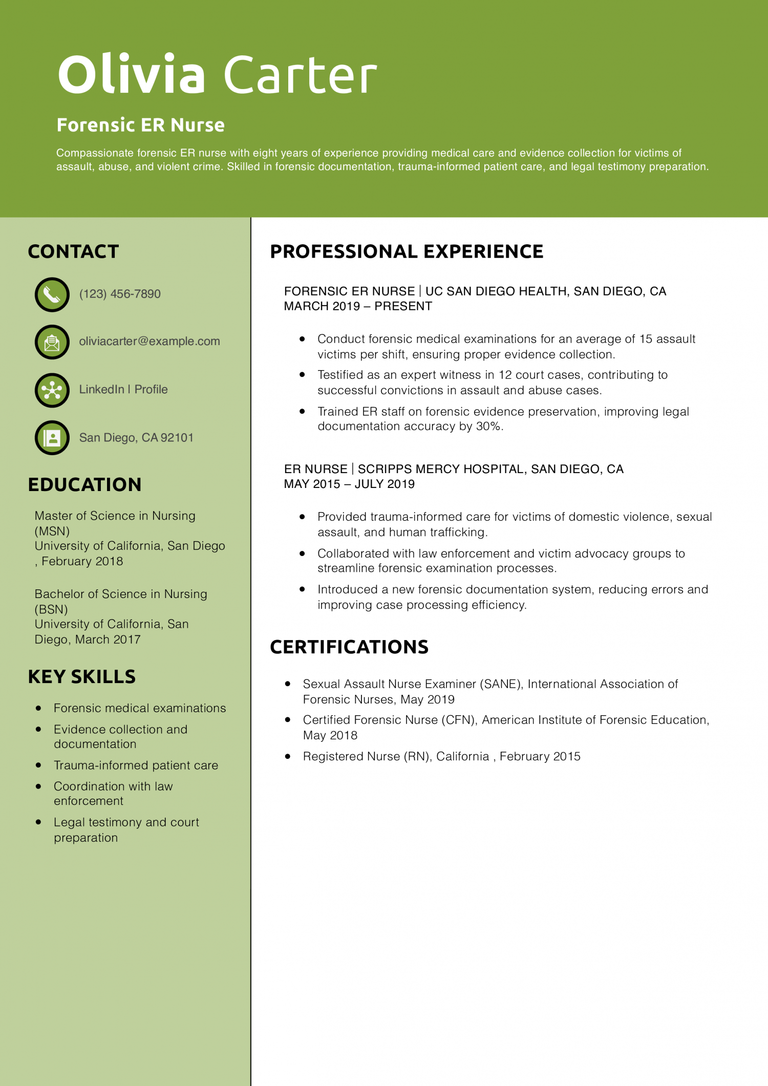 Forensic ER Nurse Resume Example