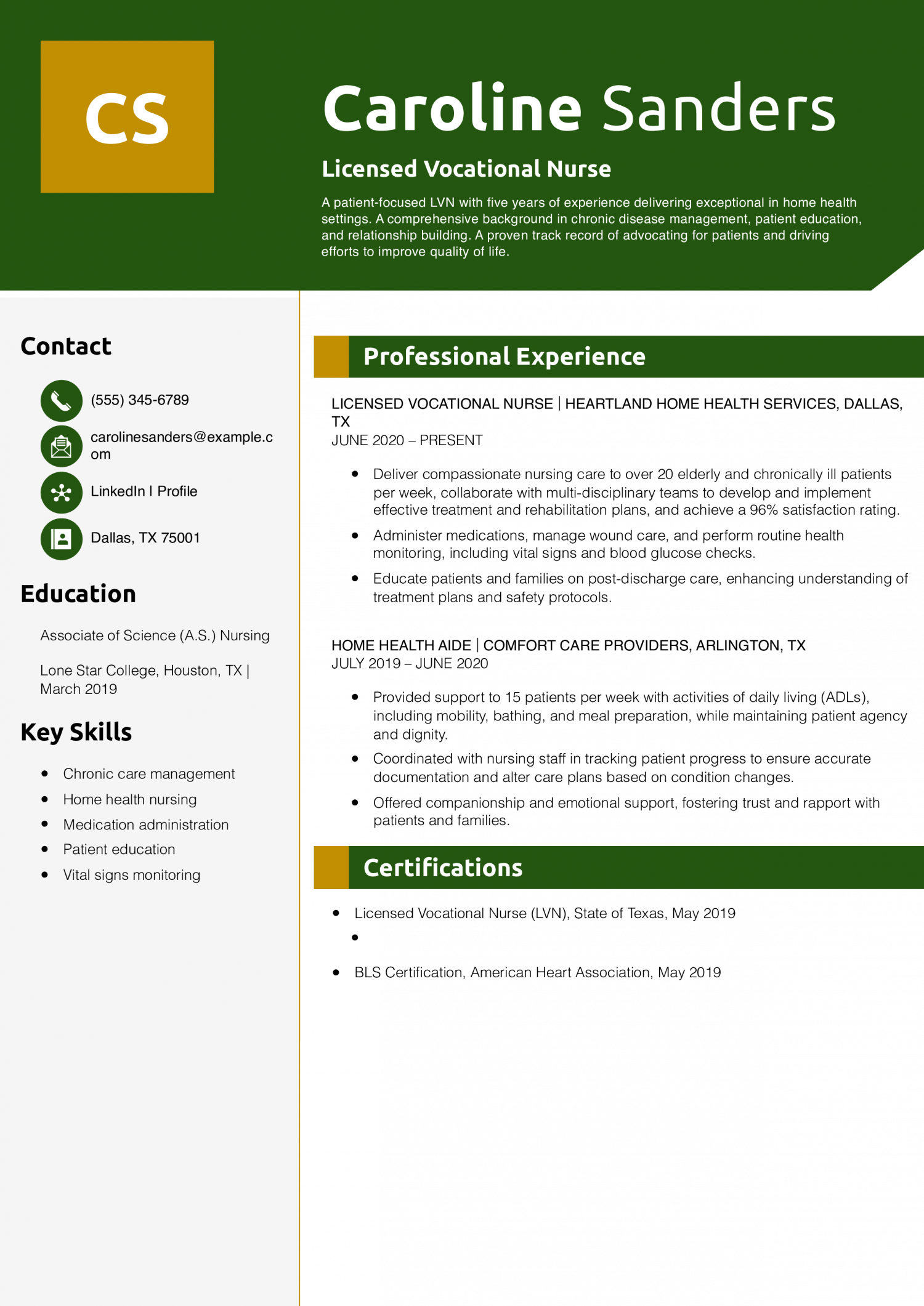 LVN Resume Example