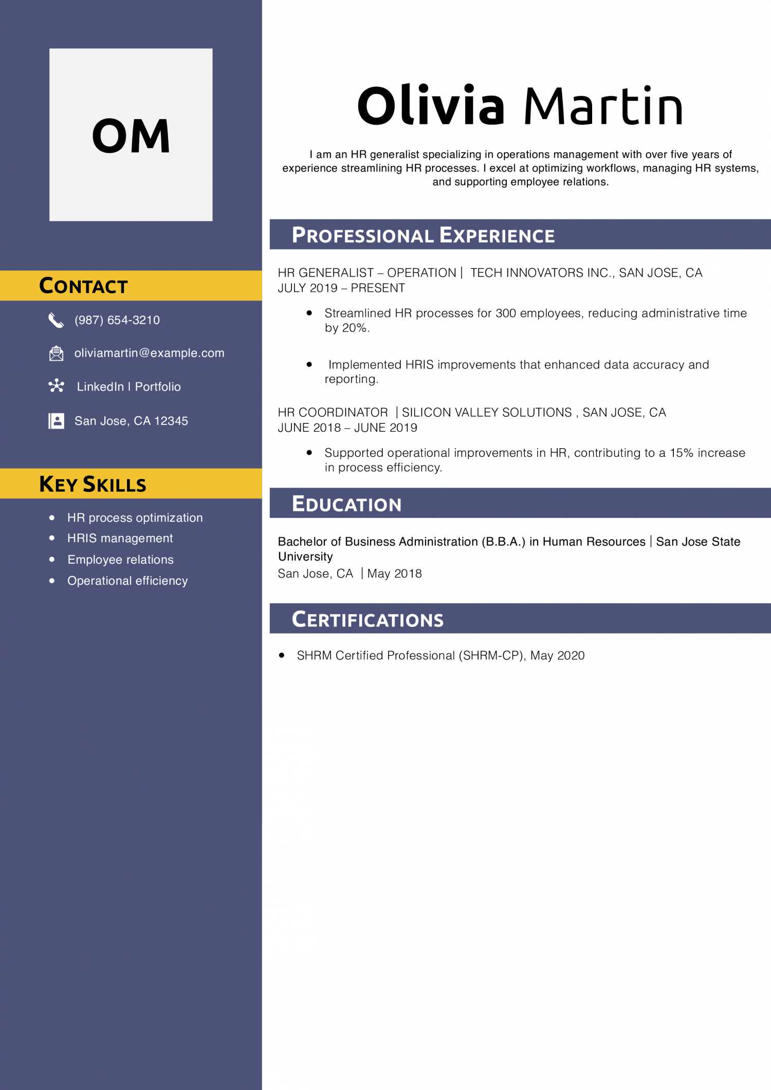 HR Generalist Operations Resume Example