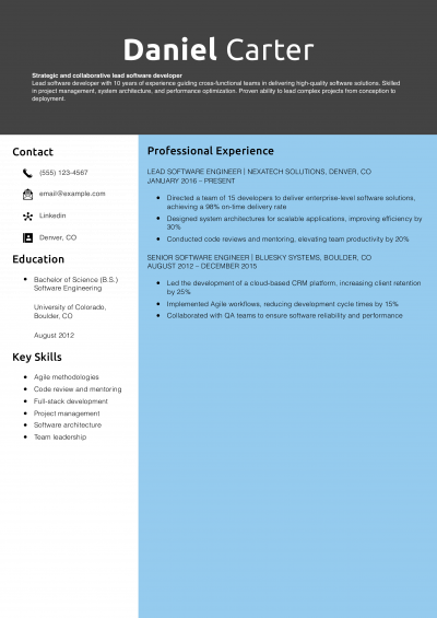 Lead software developer