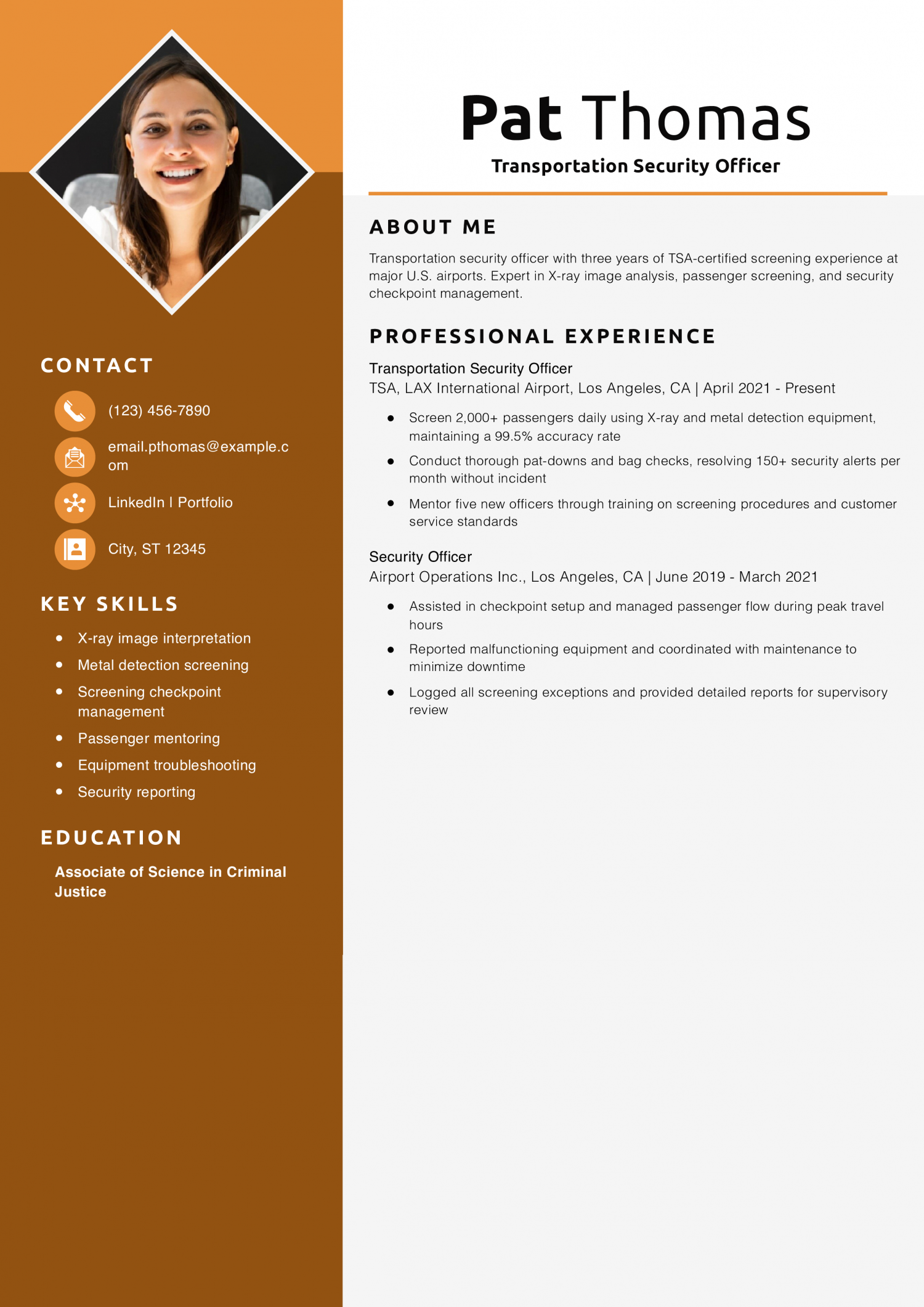 Transportation Security Officer Resume Example
