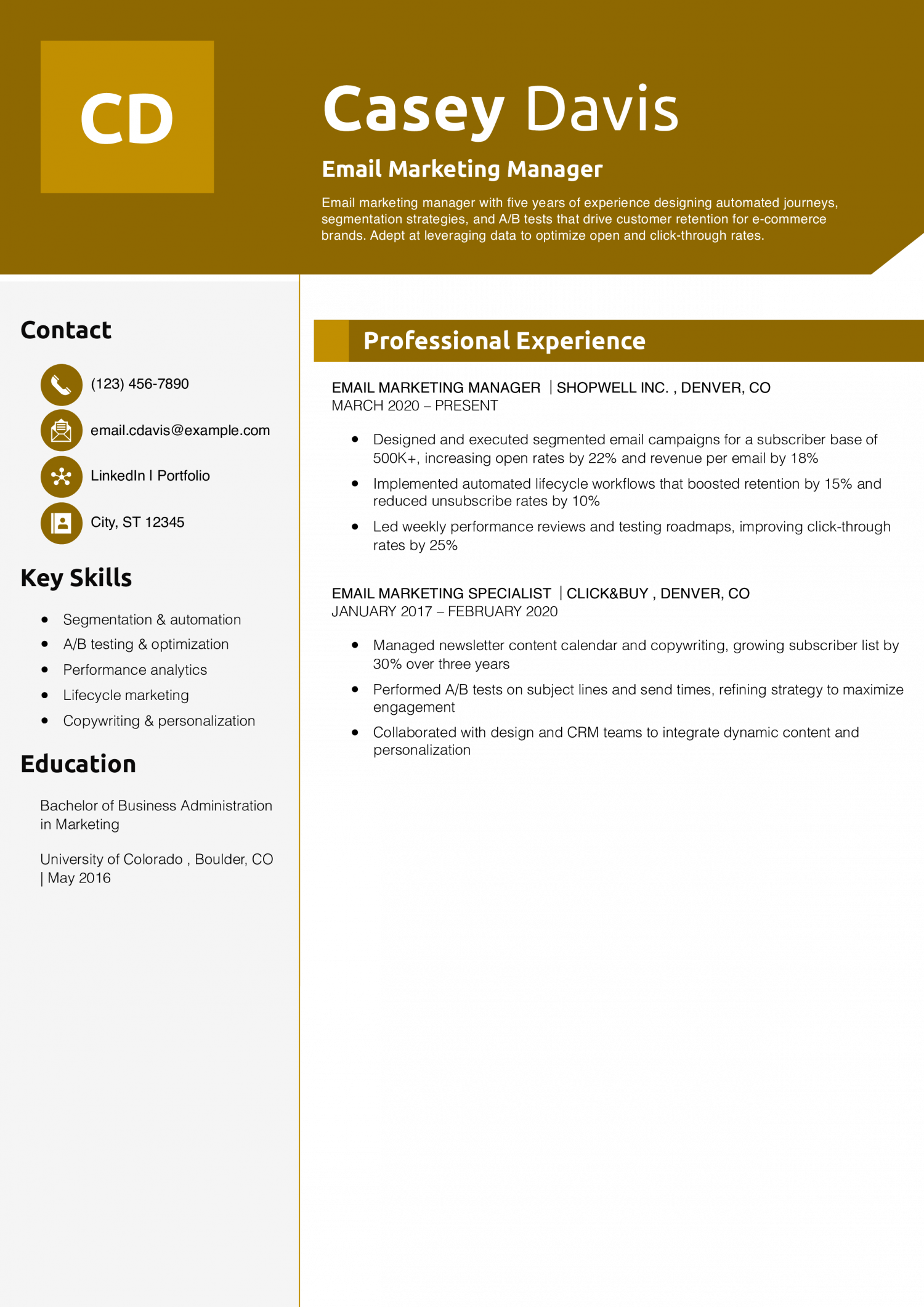 Email Marketing Manager Resume Example