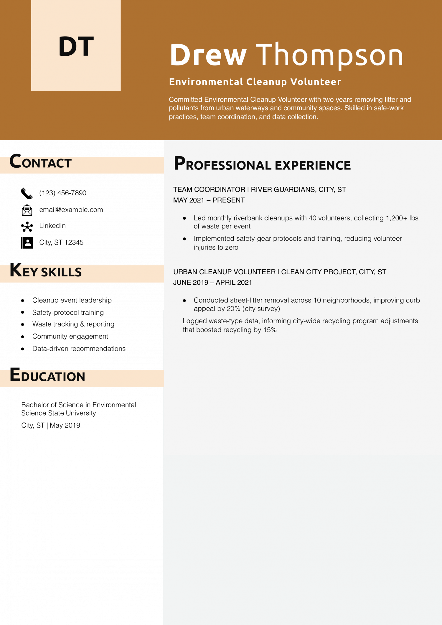 Environmental Cleanup Volunteer Resume Example