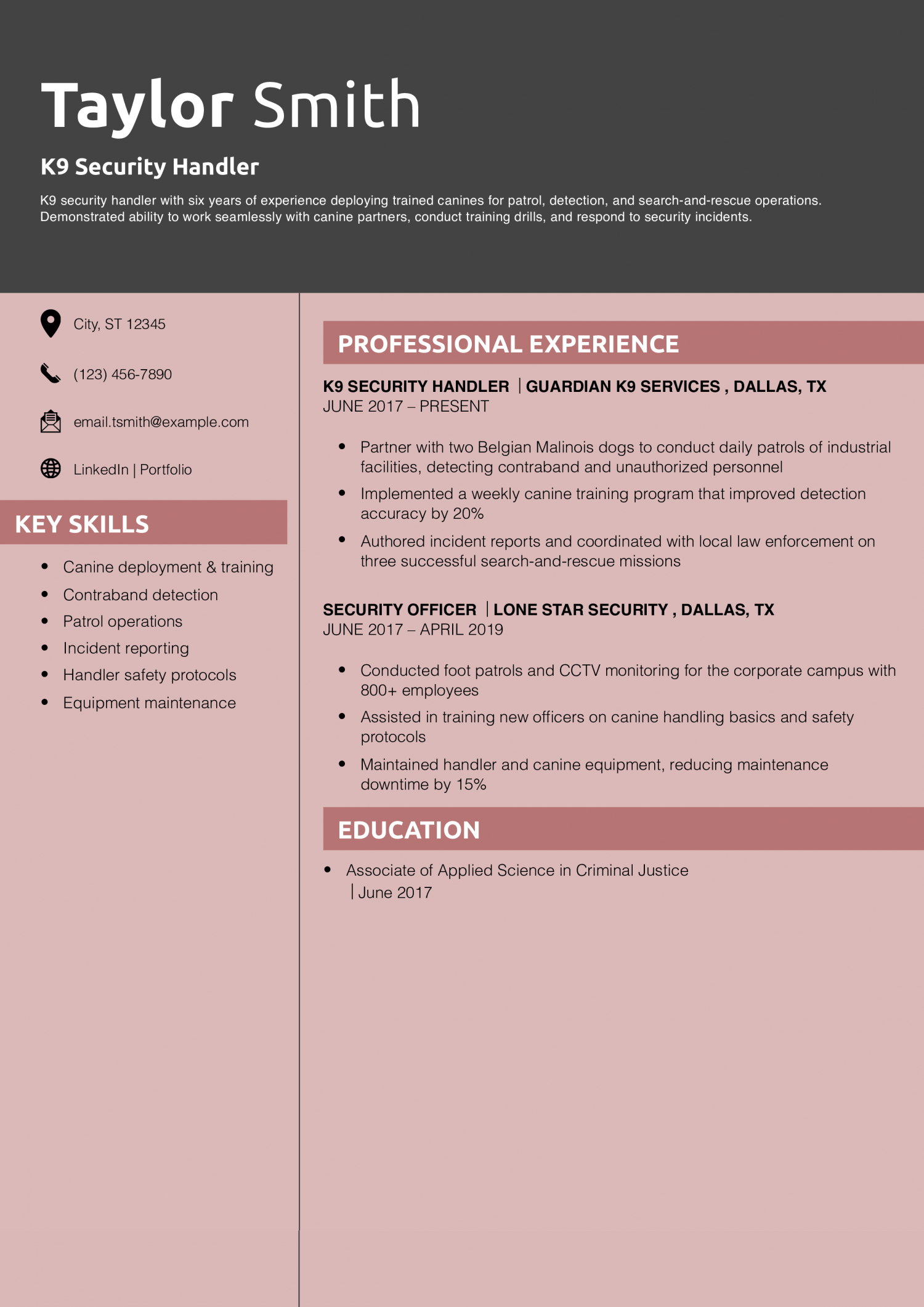 K9 Security Handler Resume Example