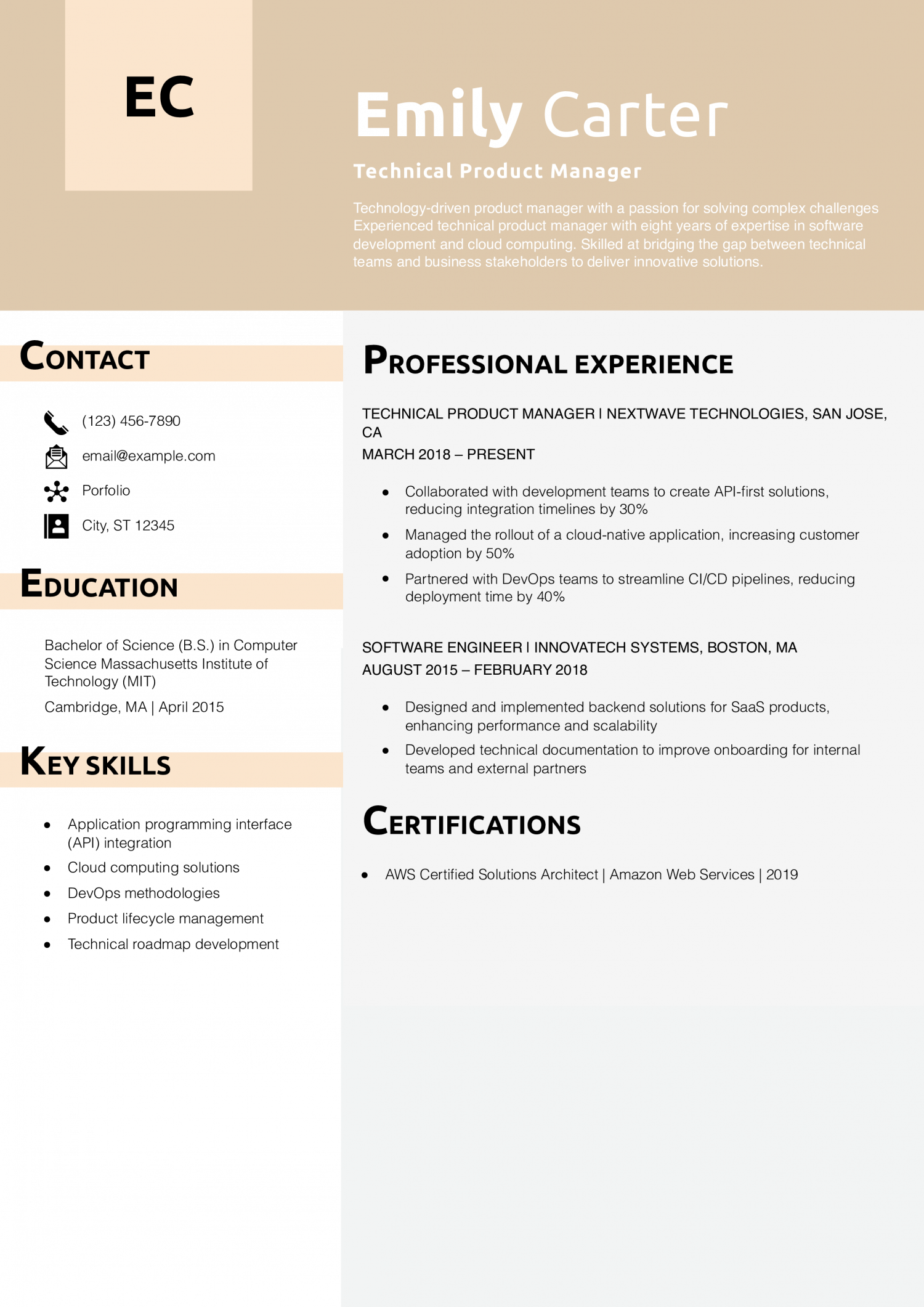 Technical Product Manager Resume Example