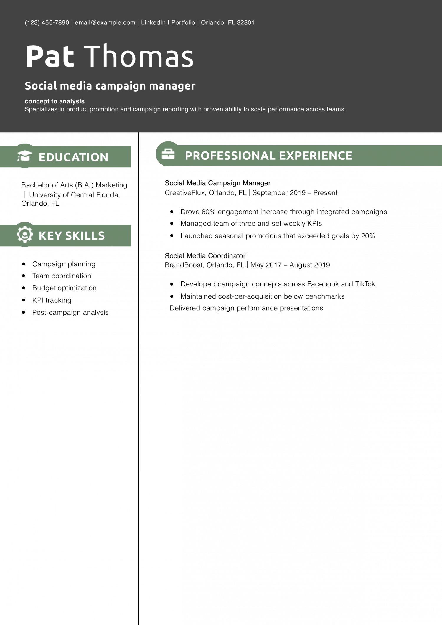 Social media campaign manager resume example