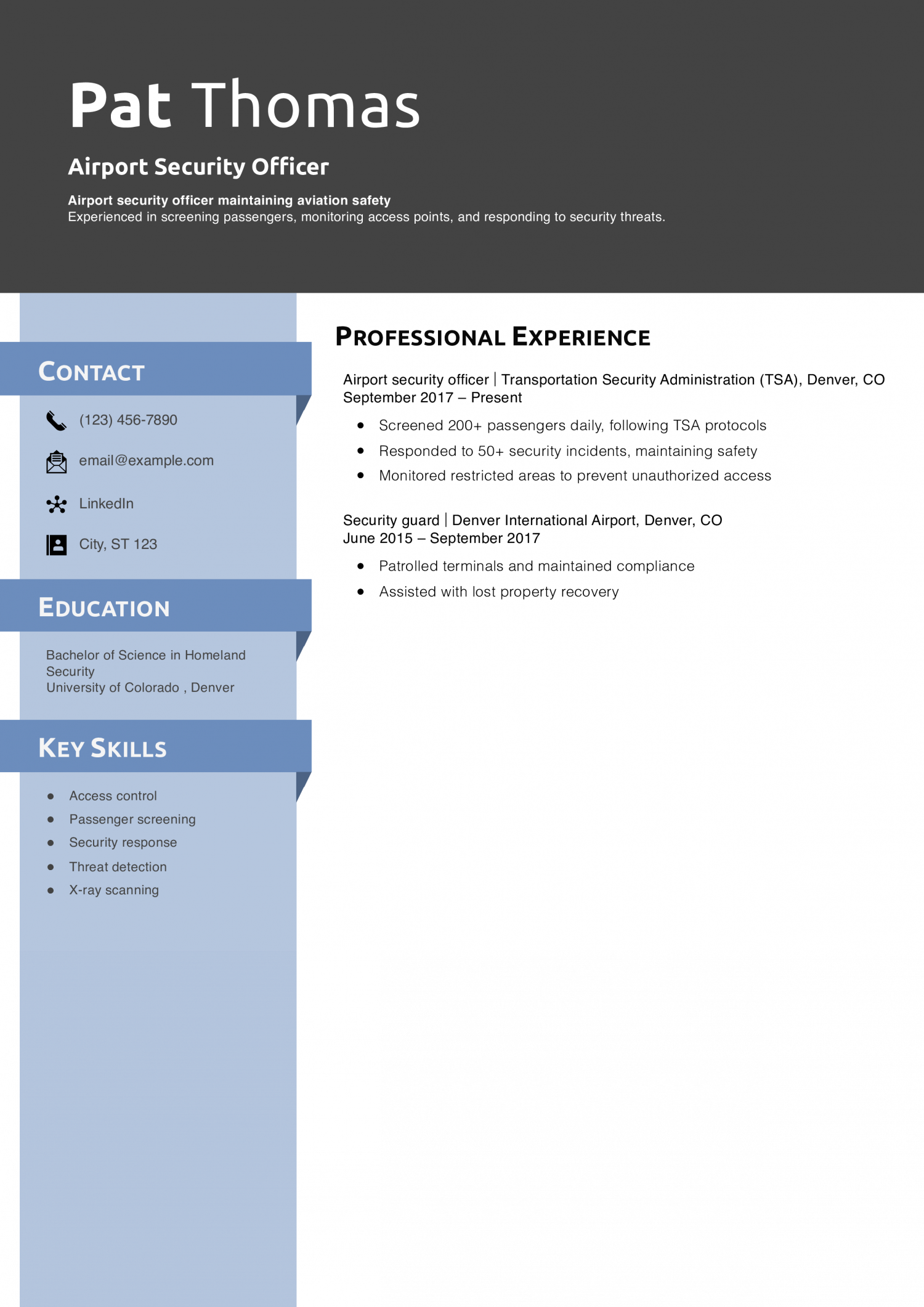 Airport Security Officer Resume Example