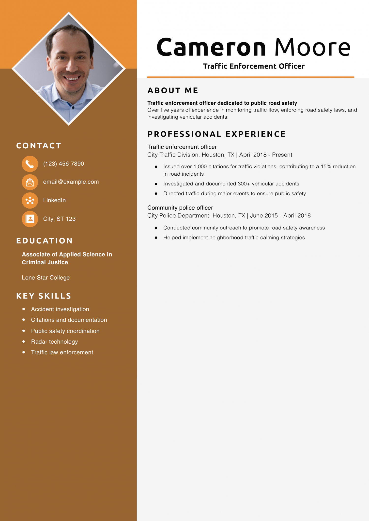 Traffic Enforcement Officer Resume Example