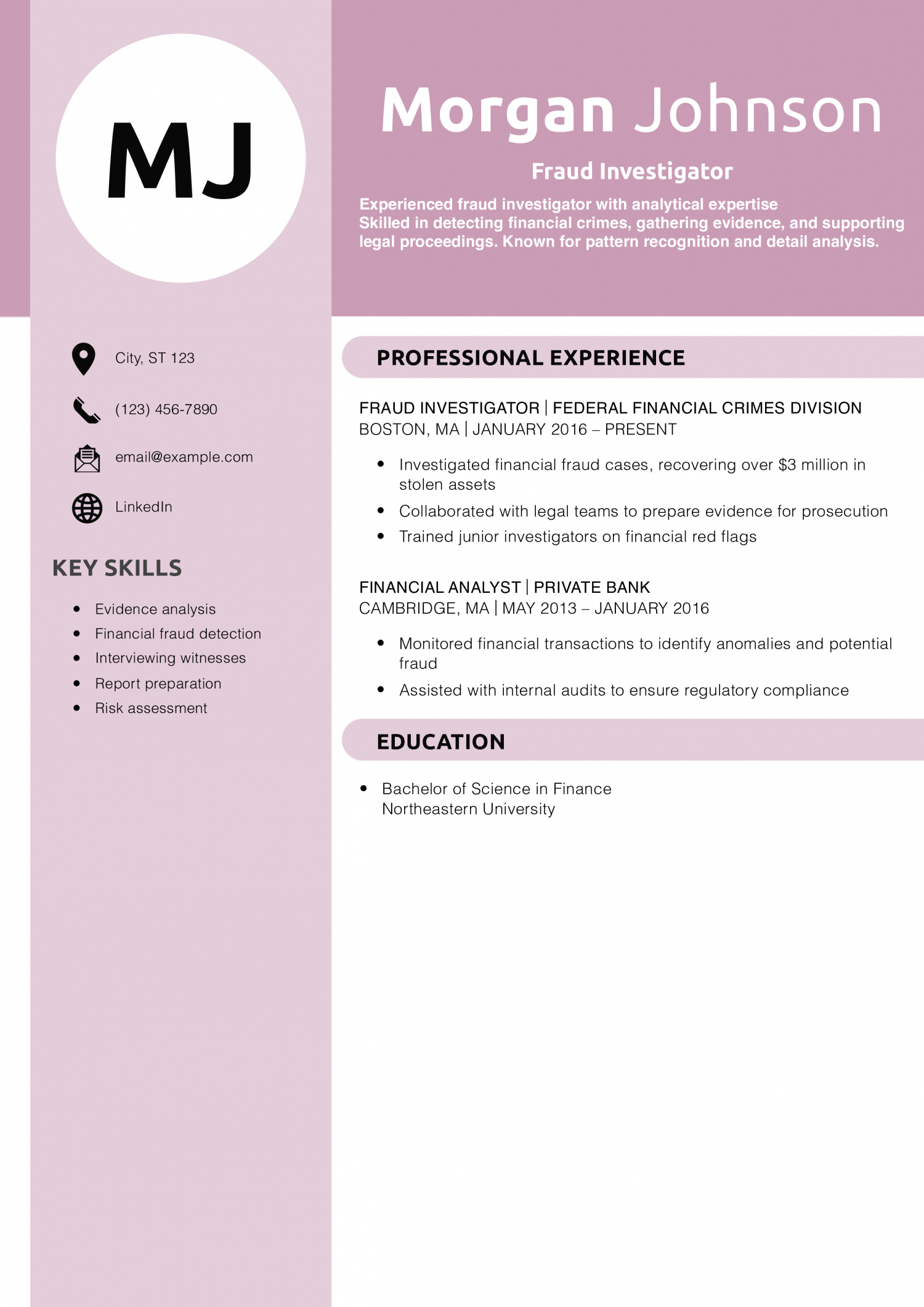 Fraud Investigator Resume Example